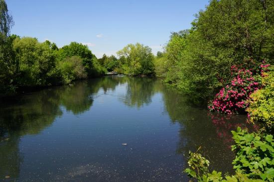 Kelsey Park